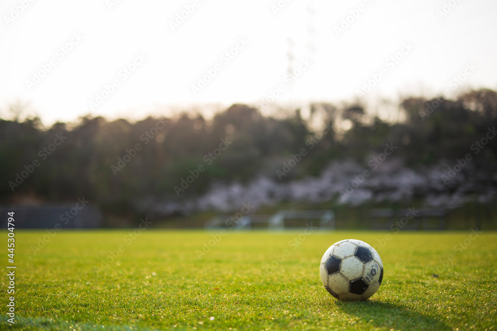 A soccer ball lying on the grass field. A soccer ball lying on the grass field.