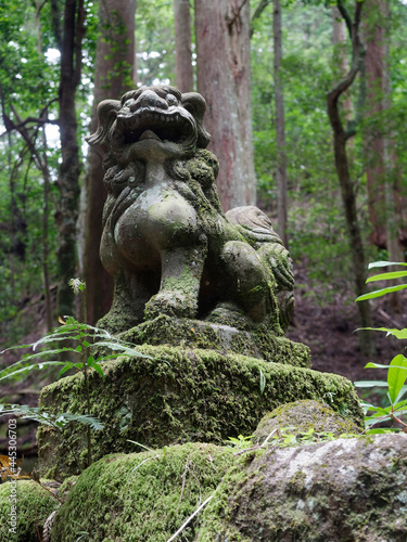 苔の生えた神社の狛犬 © しょこまろん