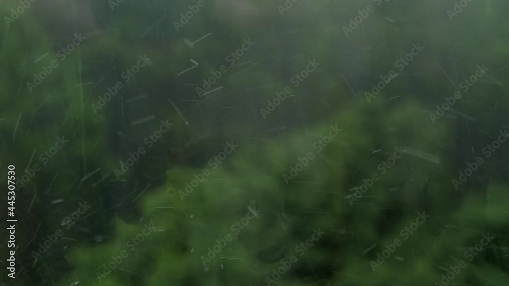 Heavy rain in summer. View from the window of the forest and a heavy downpour. Heavy rain in summer. View from the window of the forest and a heavy downpour.