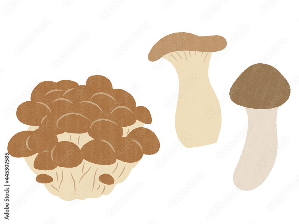 Cute Hand Drawn Mushrooms Vector Art 手描き風のかわいいきのこ しめじ えりんぎ 松茸 Stock ベクター Adobe Stock