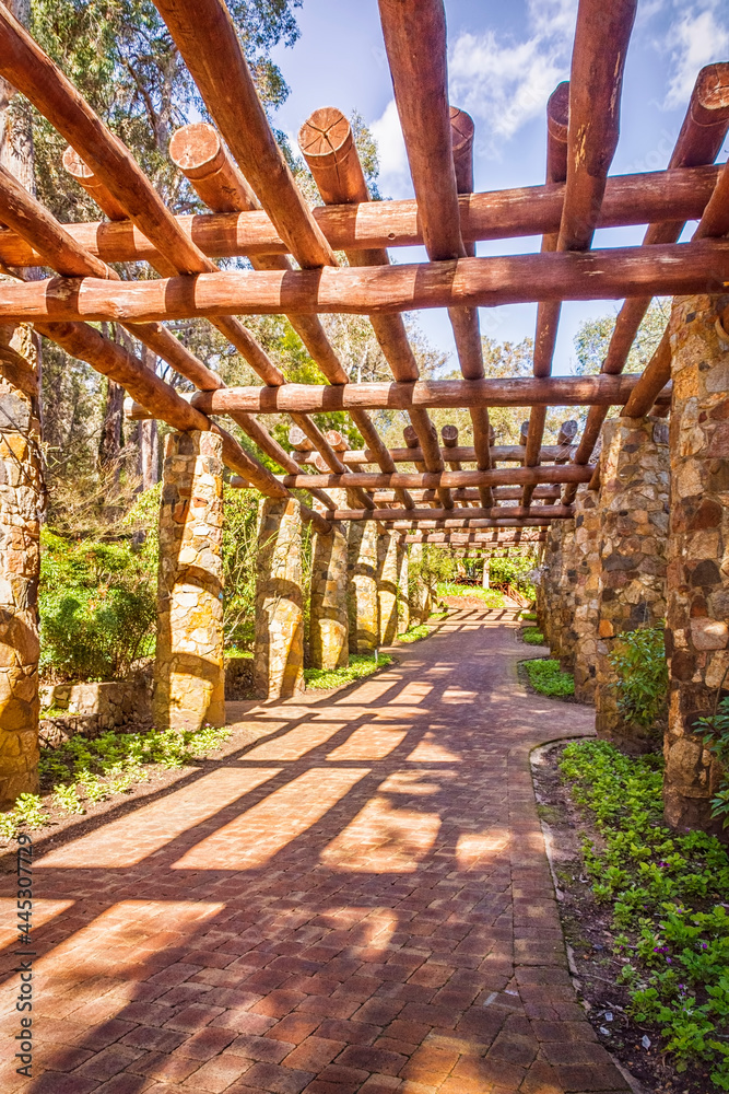 Beautiful arbor or shaded walkway at Araluen Botanic Park , Perth Western Australia .