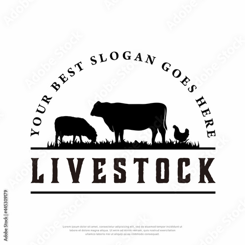 Retro vintage, livestock Farm animal logo design template, Vector illustration.