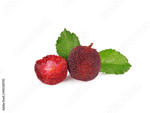 waxberry isolated on white background photo