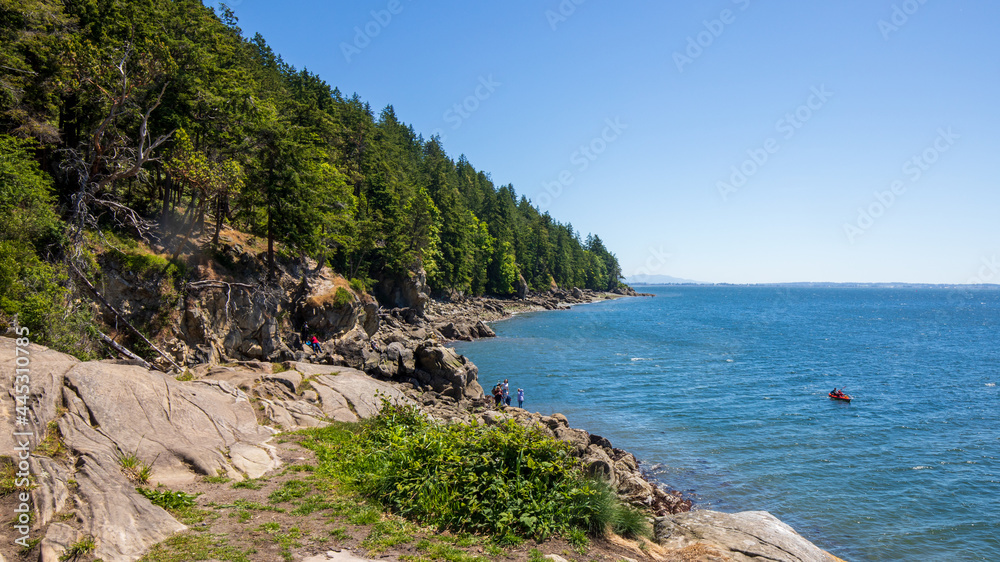 Seashore landscape in summer at Larrabee State Park in Bellingham Washington.