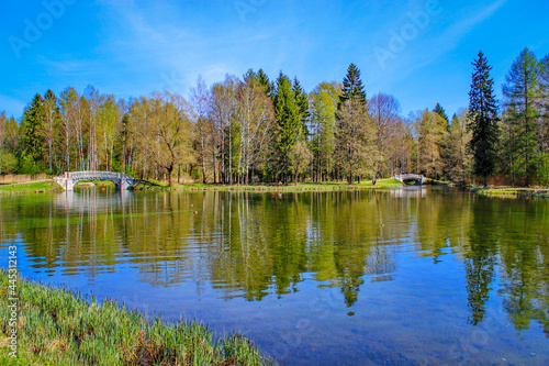 Fototapeta Naklejka Na Ścianę i Meble -  Picturesque park near the Gatchina Palace
