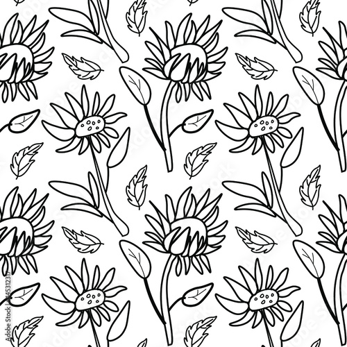 Vector seamless pattern with flowers on white isolated hand drawn background.Botanical,Spring,Summer doodle style black line print.Designs for textiles,fabic,wrapping paper,packaging,web,invitations.