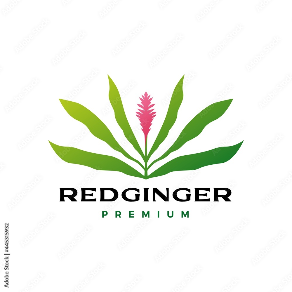 red ginger flower tree logo vector icon illustration