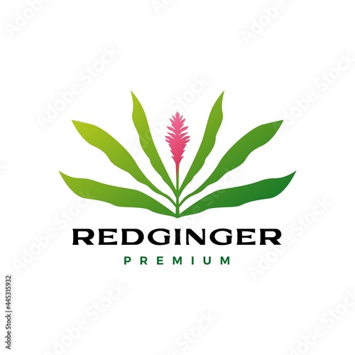 red ginger flower tree logo vector icon illustration