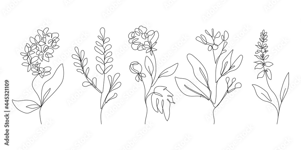 Vector Set of Botanical Hand Painted Line Art Illustrations for Wall Decor, Print, Postcard, Social Media Banner, Brochure Cover Design. Floral Modern One Line Drawing Artwork with Leaves and Flowers.