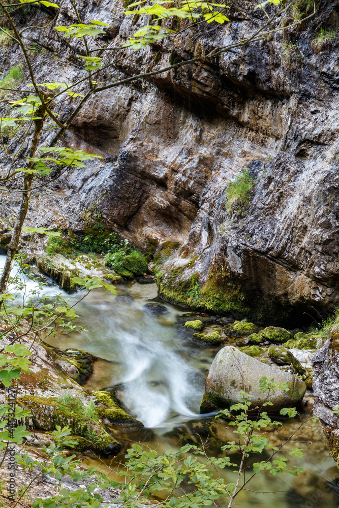 Fototapeta premium Schöner sommerlicher Gebirgsbach, Weissbachschlucht