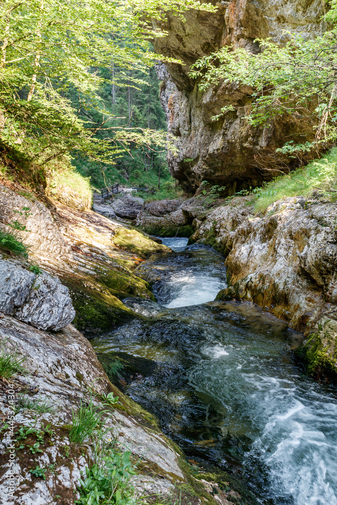 Schöner sommerlicher Gebirgsbach, Weissbachschlucht Schöner sommerlicher Gebirgsbach, Weissbachschlucht