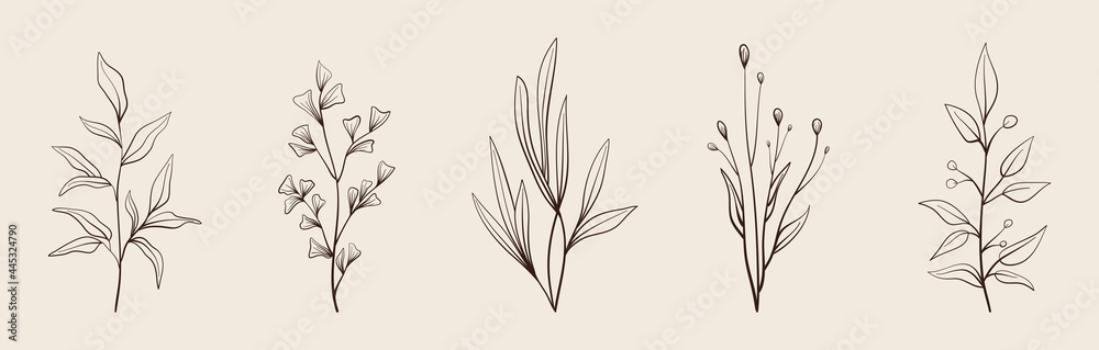 Fototapeta premium Set of vector vintage floral elements. Cute set of doodle vector. Elements flowers, branches, swashes and flourishes 
