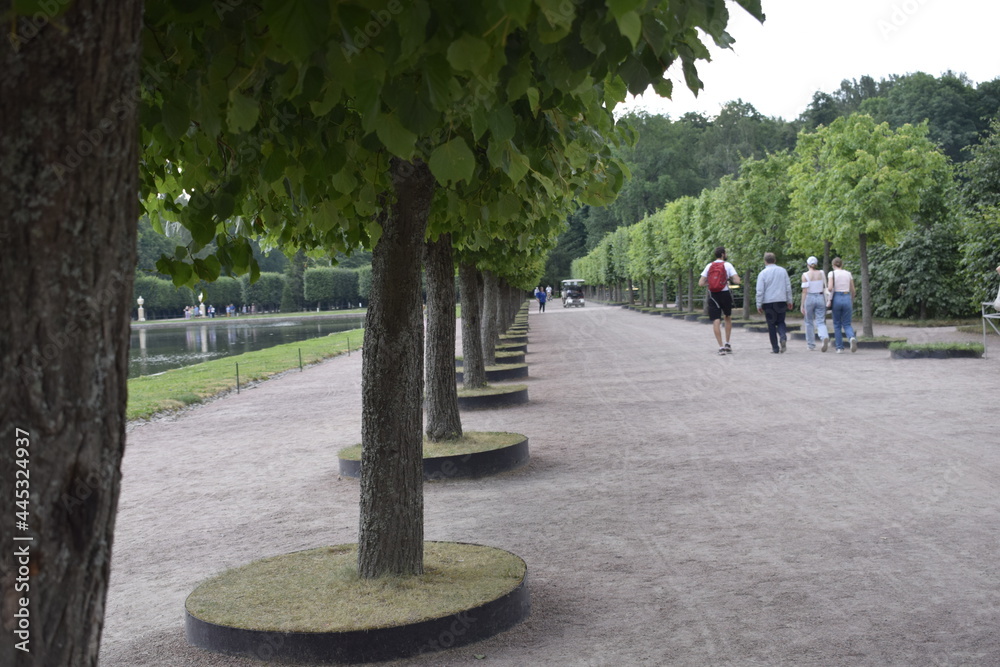 Fototapeta premium people walking in park