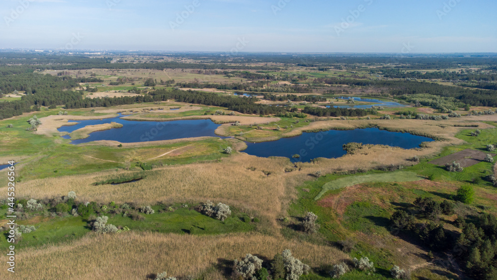 Top aerial view of lakes between green fields and forest. Summer Top aerial view of lakes between green fields and forest. Summer