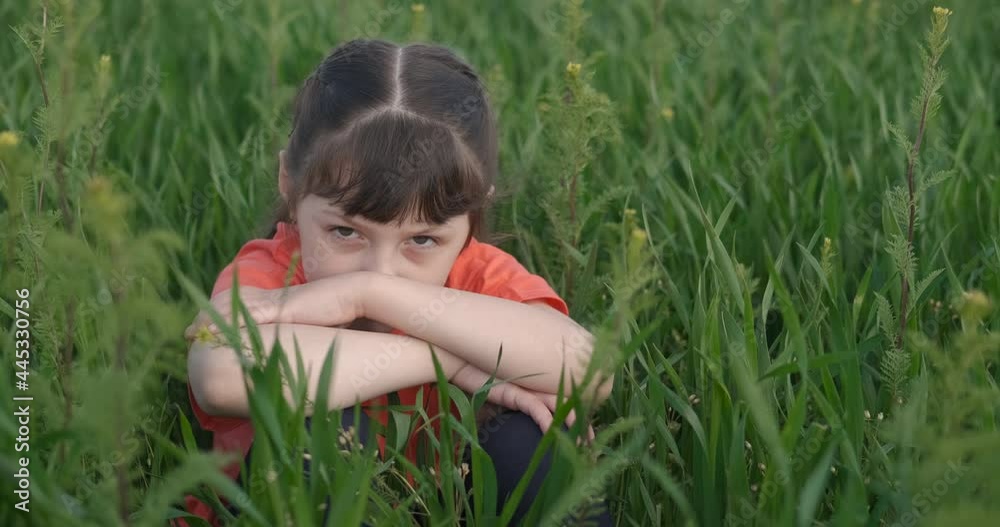 Child pastime in summer meadow. Adorable child in the grass. A little girl has nice time in the green meadow in the day light. Child pastime in summer meadow. Adorable child in the grass. A little girl has nice time in the green meadow in the day light.