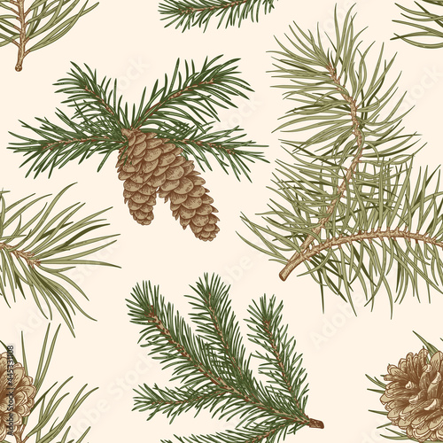 Botanicalr seamless pattern with fir and pine branches and cones. Vintage green.