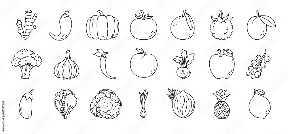 Fruit and vegetable sketch. Ginger, pepper, raspberry and prunes. Broccoli, garlic, kohlrabi and eggplant. Lettuce, cauliflower, scallions and pineapple. Black line icon. Vector illustration set