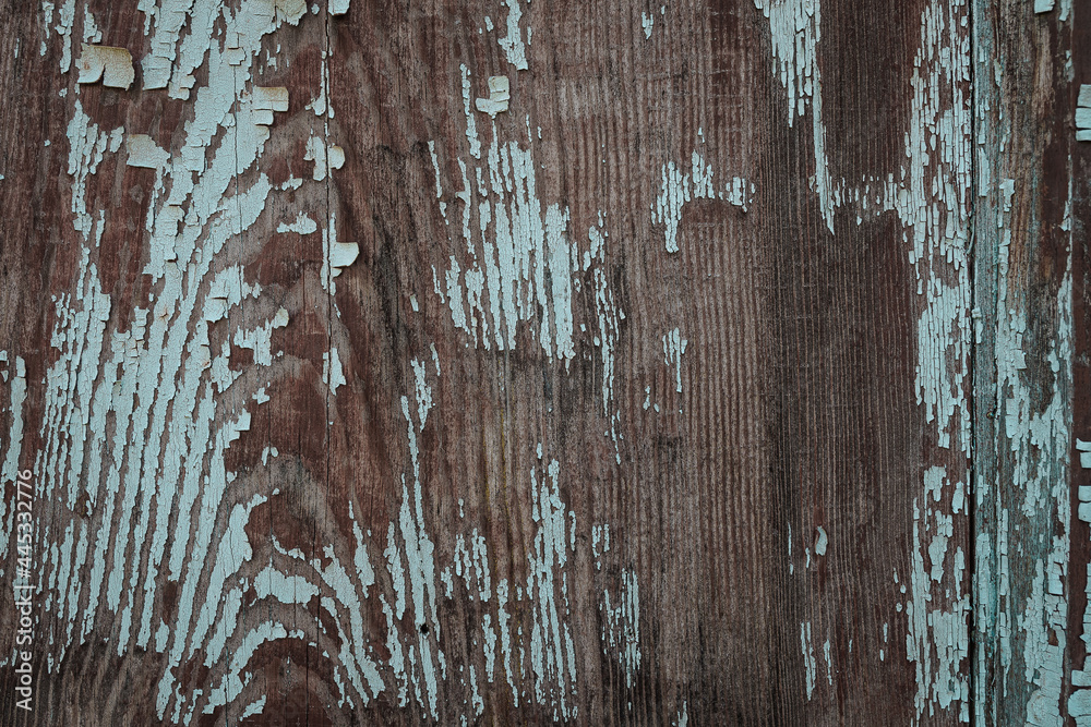 Fototapeta premium texture of old wood plank with tattered blue paint