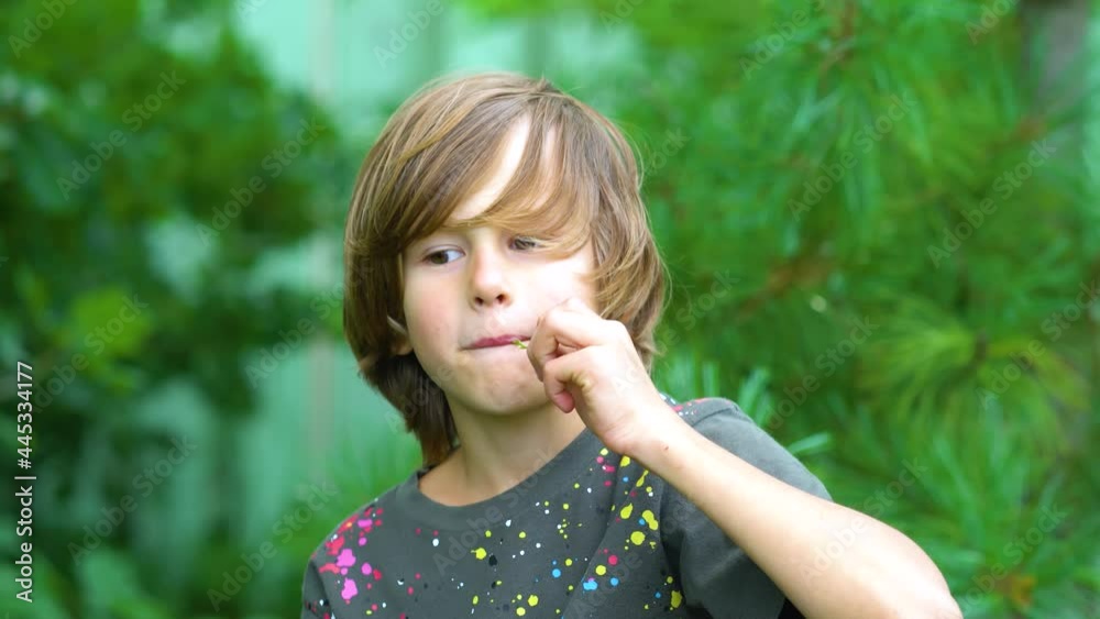 The boy holds a currant cluster in front of him. Translucent pale yellow berries in childs hand. The harvest in the summer sunny day. The boy holds a currant cluster in front of him. Translucent pale yellow berries in childs hand. The harvest in the summer sunny day.