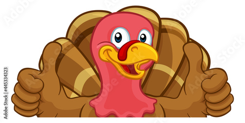 Turkey Thanksgiving or Christmas Cartoon Character