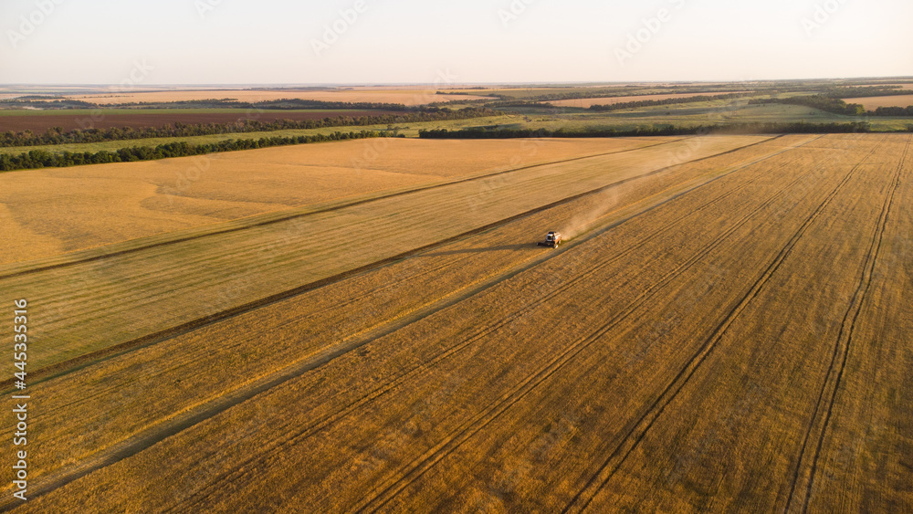 harvesting of grain crops by combine harvester