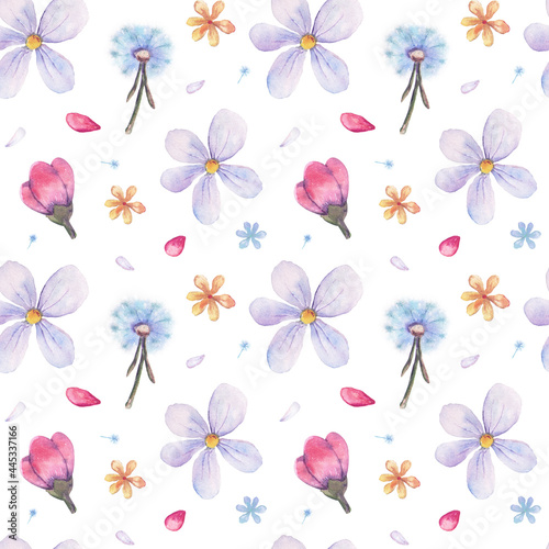 Seamless watercolor ornament with summer flowers and dandelion on white background