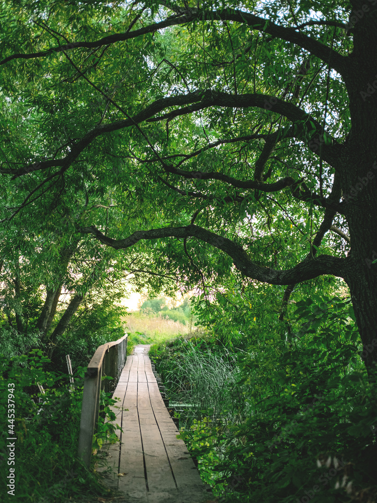 The peaceful view of the wooden bridge across the river, summer background. The peaceful view of the wooden bridge across the river, summer background.