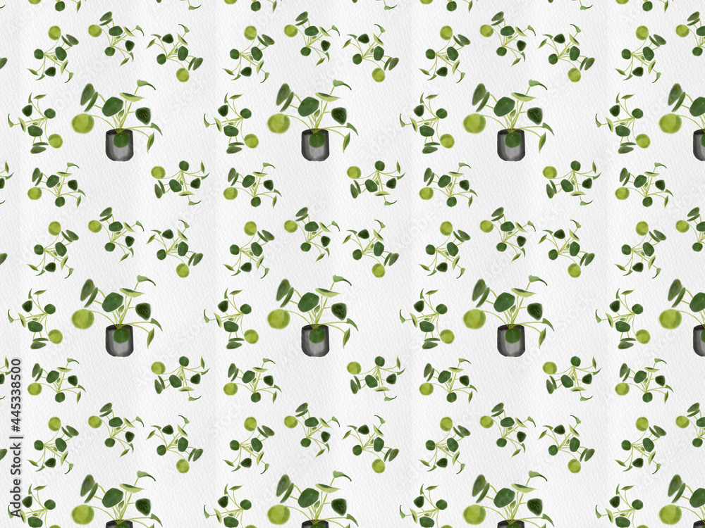 Pilea Plants Illustration | Wallpaper background design for decoration Pilea Plants Illustration | Wallpaper background design for decoration