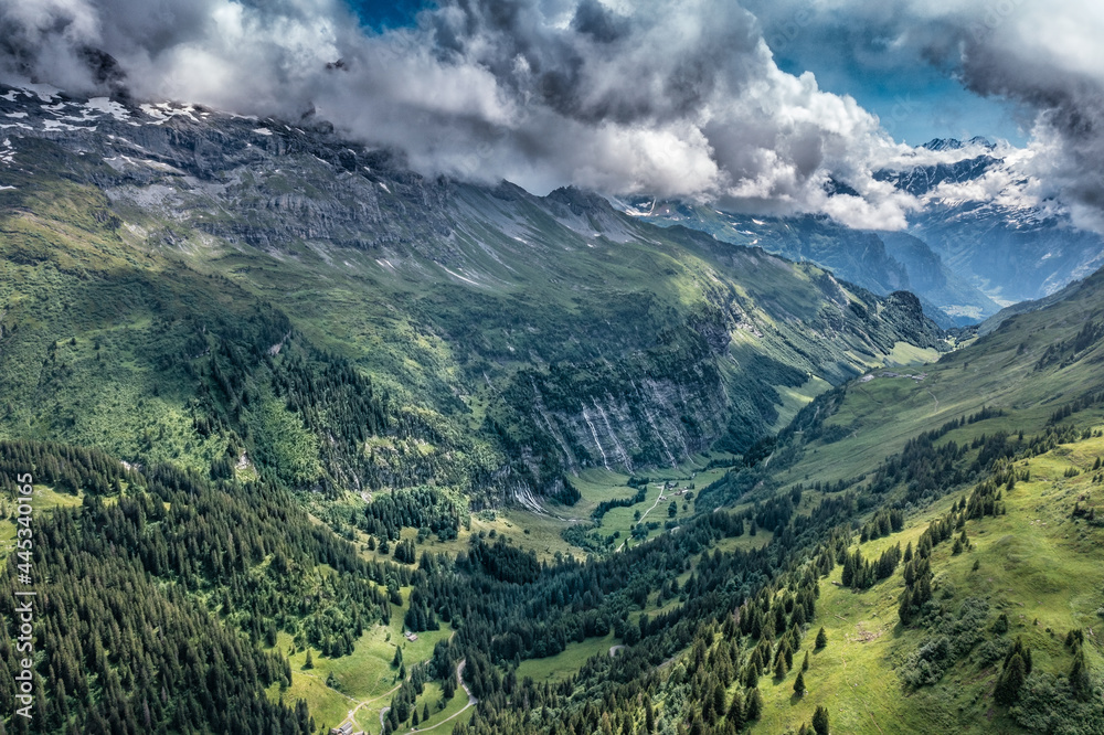 Fototapeta premium aerial view of the alps in summer 