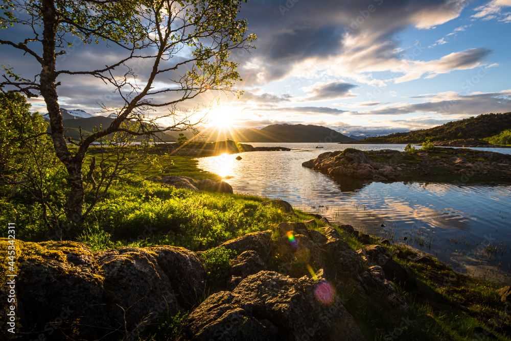 Scenic view of fjord landscape in northern norway with warm midnight sun in late spring with green grass, trees and nature