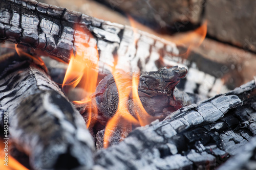 Glowing embers in hot red color, abstract background. The hot embers of burning wood log fire. Firewood burning on grill. Texture fire bonfire embers.