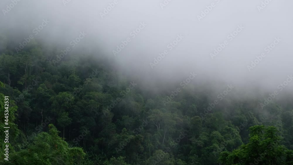 Landscape of greenery mountains in the forest on foggy day Landscape of greenery mountains in the forest on foggy day
