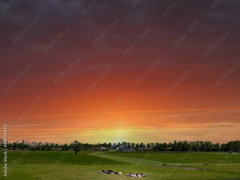 Obraz premium De Scherenwelle is a nature reserve near the village of Wilsum, municipality of Kampen, Overijssel Province, The Netherlands