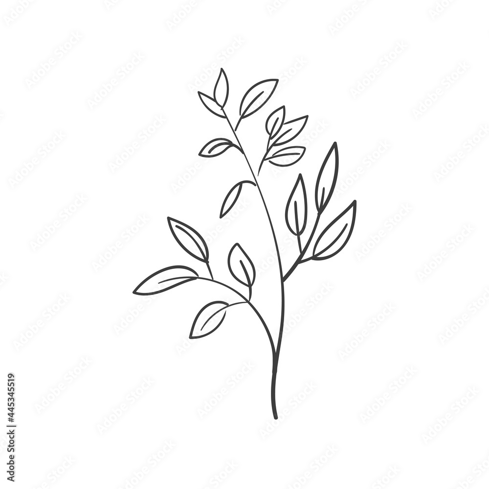 Naklejka premium Hand Drawn Botanical Leaf Doodle Wildflower