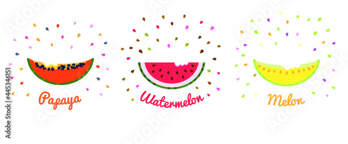 Slice of papaya, watermelon and melon. Template for poster, postcard, label.