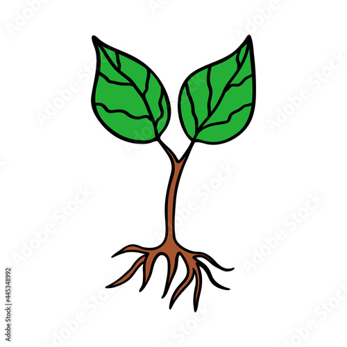 Sprout. Doodle style icon.