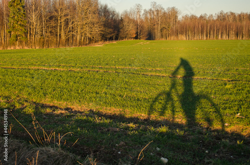 The shadow of a person riding a bicycle in a green field.