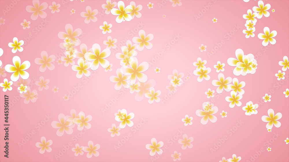 leiwadi flowers on a pink background
