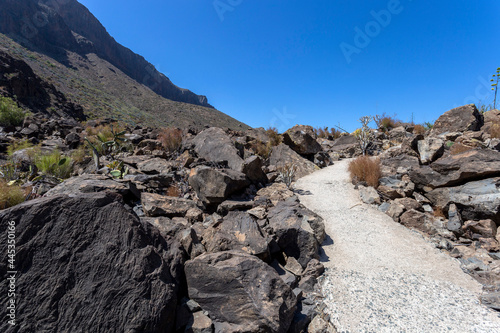 View of Gran Canaria from the valley of Arteara © skovalsky