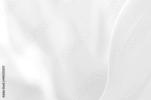 abstract white background leaf texture design.