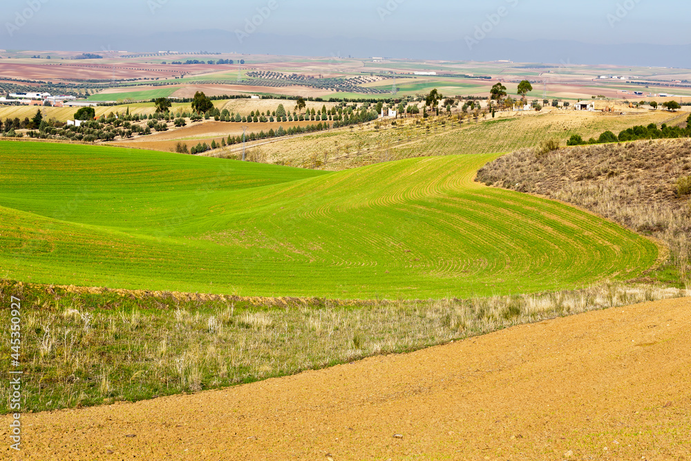 Campo en Bujurón. Toledo. España. Europa.