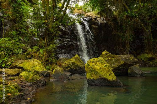 Fototapeta Naklejka Na Ścianę i Meble -  Waterfall landscape. Beautiful hidden waterfall in tropical rainforest. Foreground with big stones. Fast shutter speed. Sing Sing Angin waterfall, Bali, Indonesia