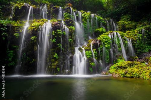Fototapeta Naklejka Na Ścianę i Meble -  Waterfall landscape. Beautiful hidden waterfall in tropical rainforest. Nature background. Slow shutter speed, motion photography. Banyu Wana Amertha waterfall, Bali, Indonesia