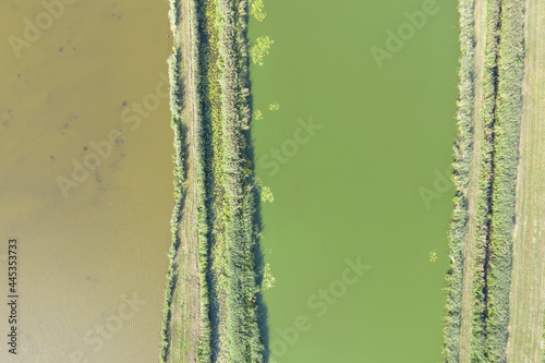 river and meadows