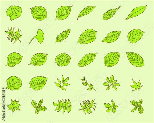 vector leaf illustration eps 10 