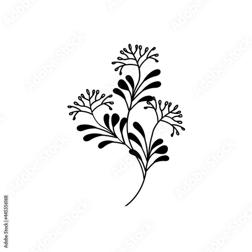 flower line drawing. Hand-drawn minimalist illustration vector 