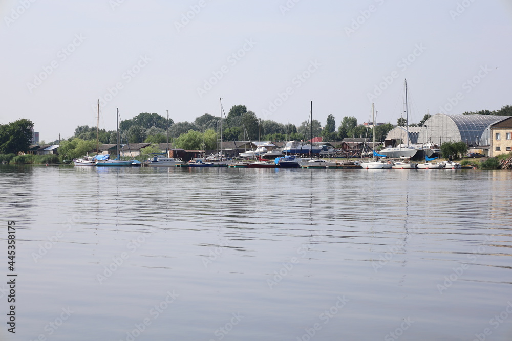 boats in the harbor