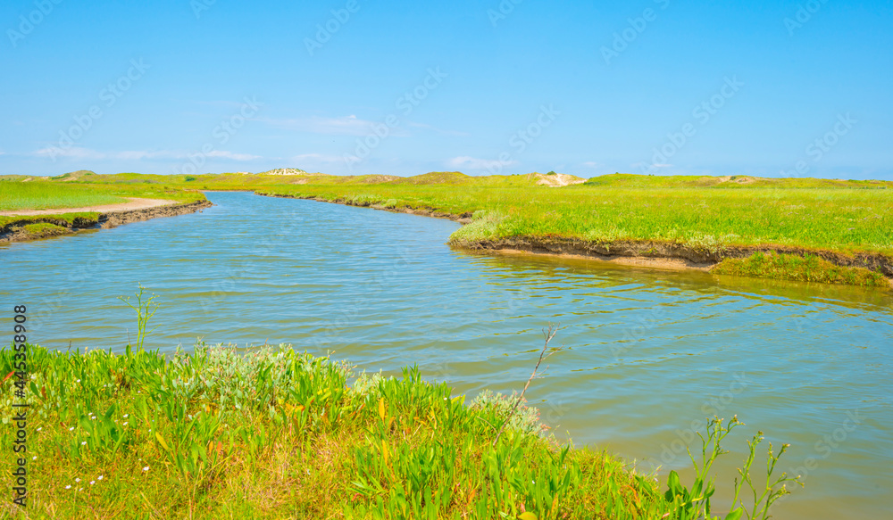 Nature reserve of a tidal inlet at the North Sea coast under a bright blue white cloudy sky in summer, the Zwin, Flanders, Belgium, July 2021 Nature reserve of a tidal inlet at the North Sea coast under a bright blue white cloudy sky in summer, the Zwin, Flanders, Belgium, July 2021