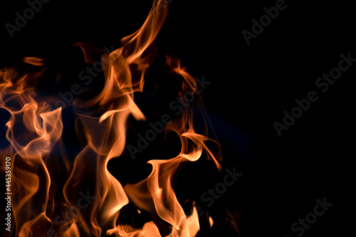 The fire. Flames. Banner, abstract background, wallpaper. Flame on a black background. © Дарья Сахарова