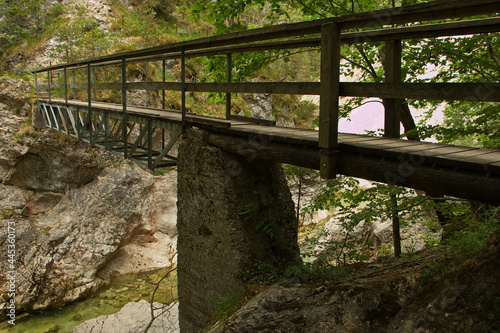 Footbridge over the river Erlauf in Oetschergraben near to the Oetscher in Lower Austria, Europe 